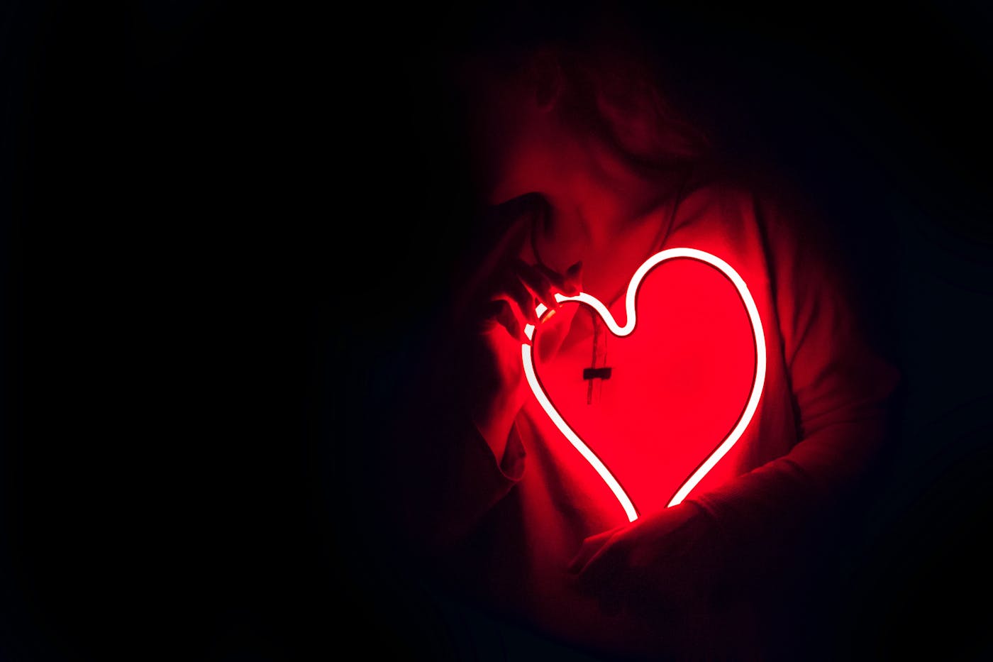 Cardiology consultation with heart model